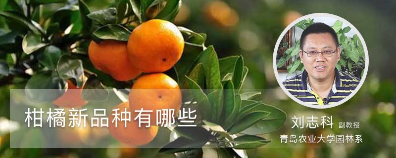 What are the new citrus varieties