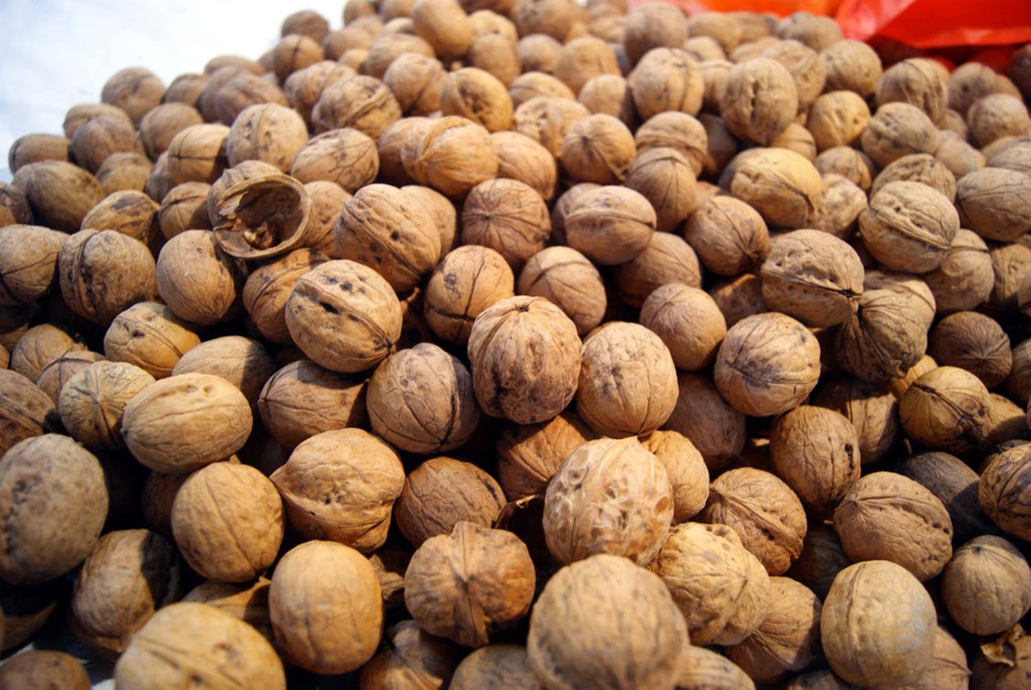 walnut