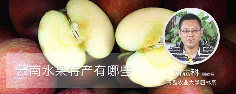 What are the specialty fruits of Yunnan