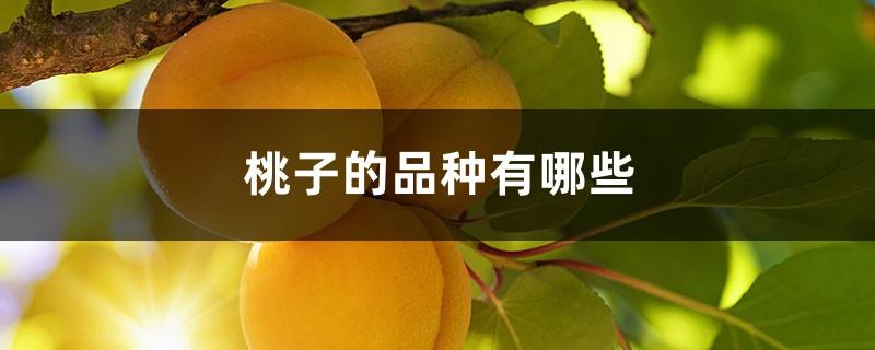 What are the varieties of peaches