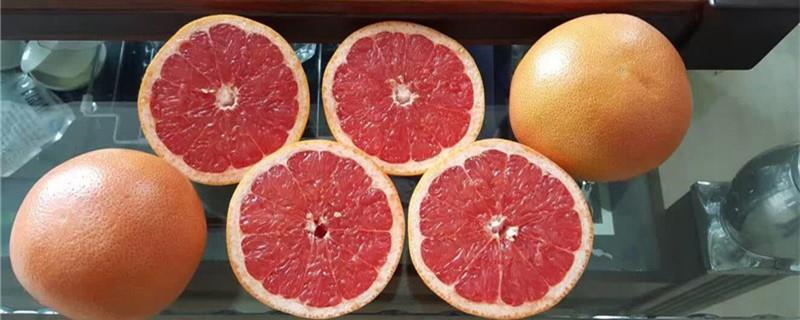 The difference between Shatian pomelo and grapefruit