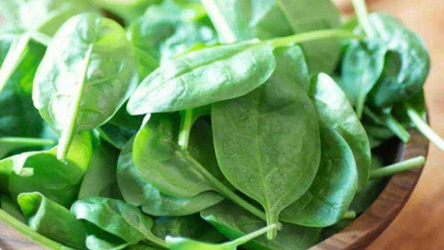 The difference between wild spinach and ordinary spinach