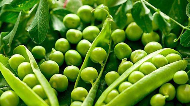 The difference between sweet beans and peas