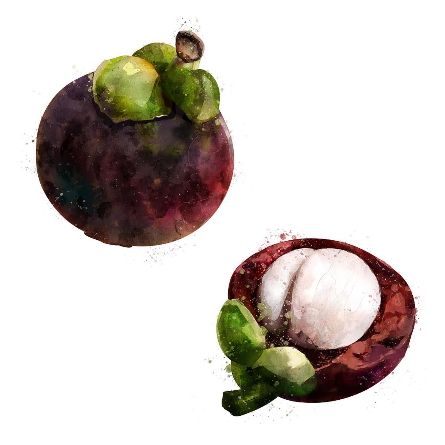 Mangosteen