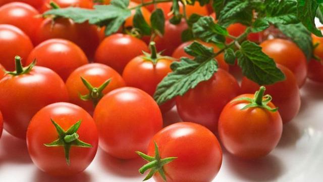 The difference between cherry tomatoes and tomatoes