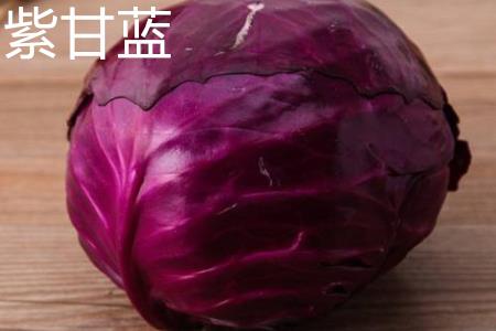 Purple Cabbage