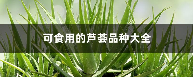 A complete list of edible aloe vera varieties