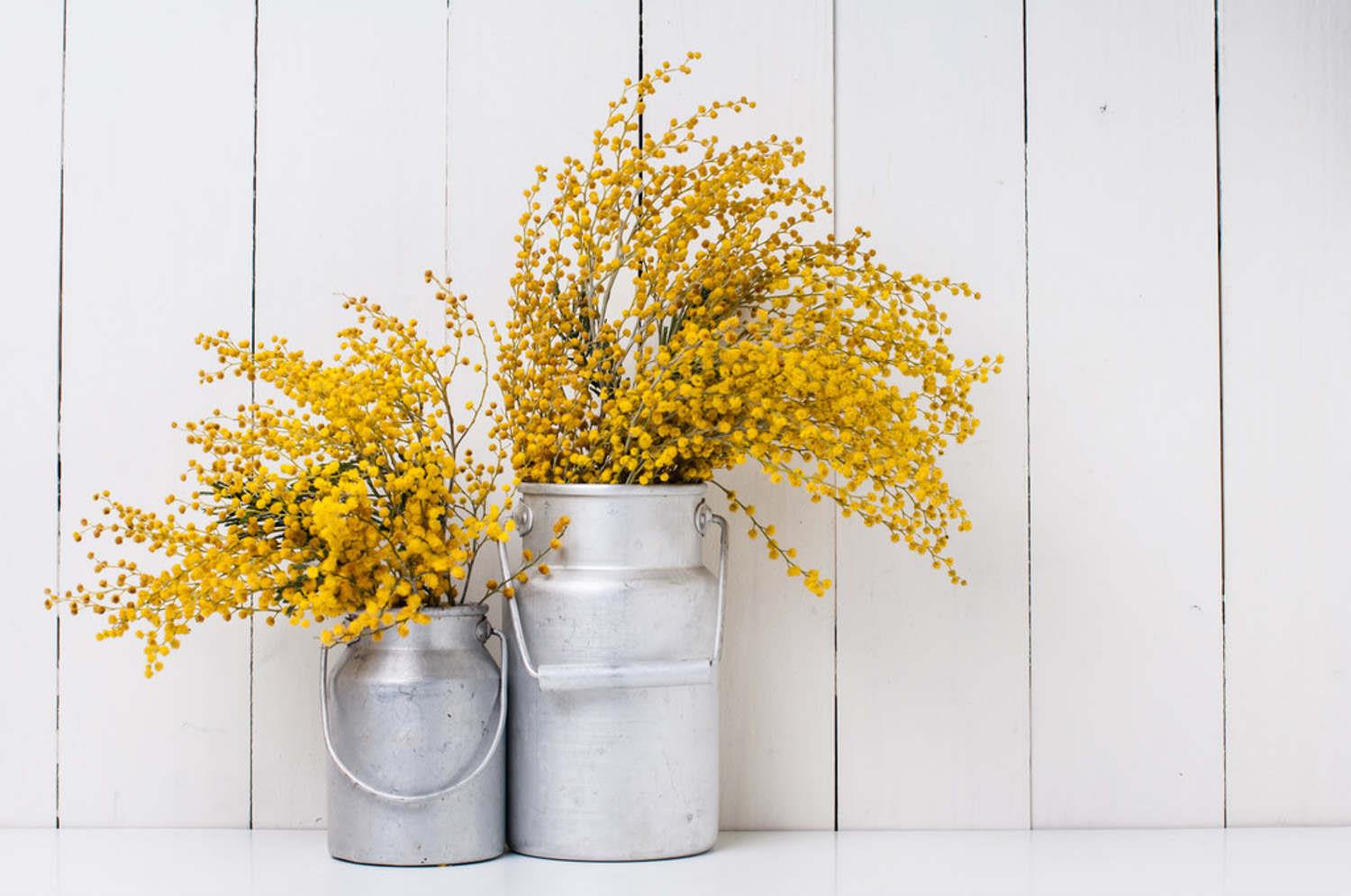 Fresh-cut flowers