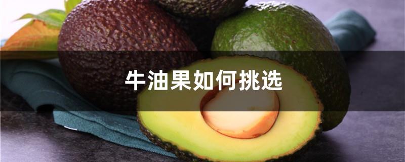 How to choose avocados