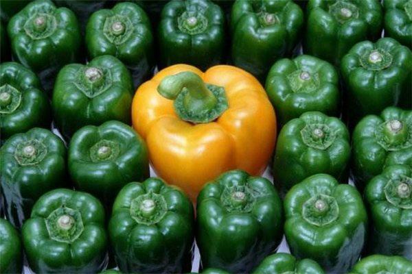 How to store bell peppers