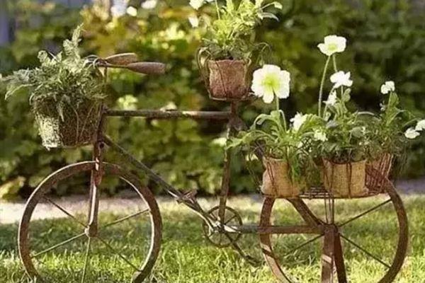 My cousin uses old furniture to grow flowers, and everyone wants to move them home!