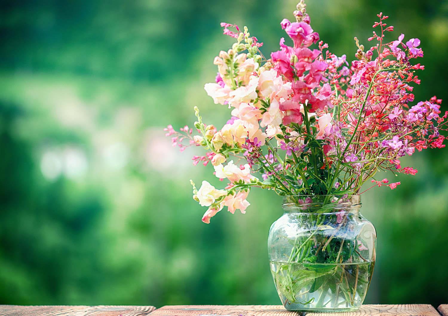 Fresh-cut flowers