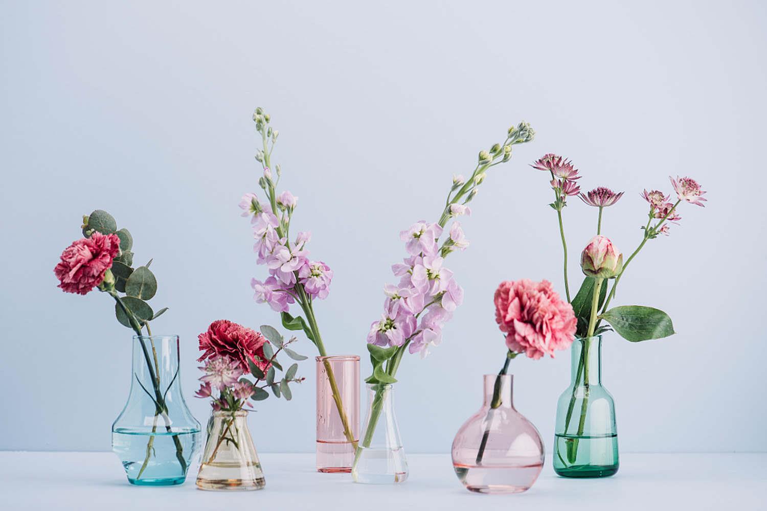 Fresh-cut flowers