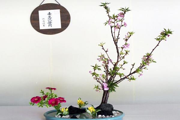 Style Characteristics of Oriental Flower Arrangement