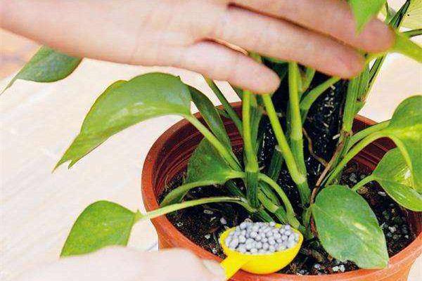 What is inorganic fertilizer