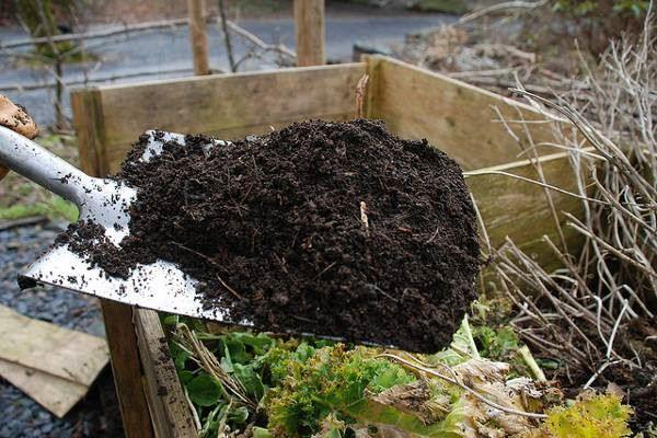 What is organic fertilizer