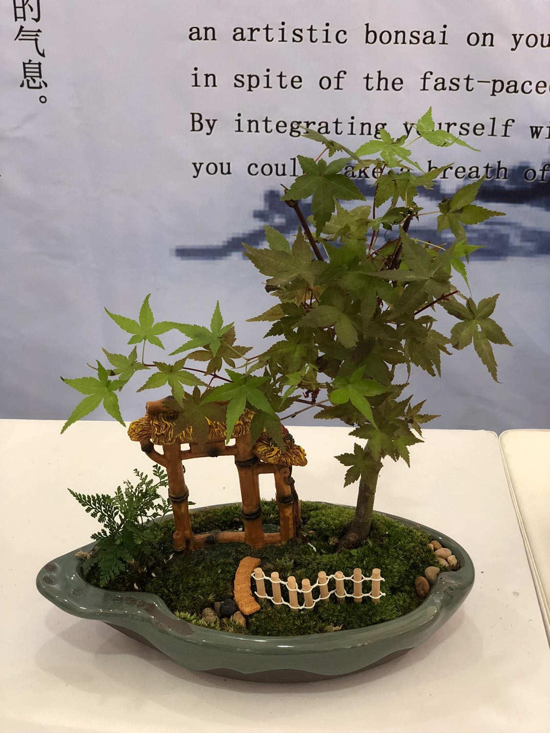 Bonsai