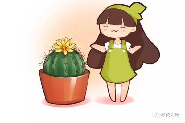 Your cactus has not bloomed for 10 years, but his has bloomed every year, why