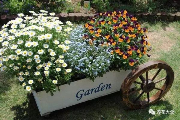 One of her flowerpots is better than one of your yards