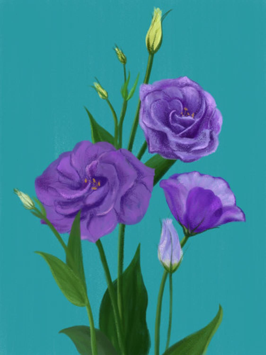 Lisianthus