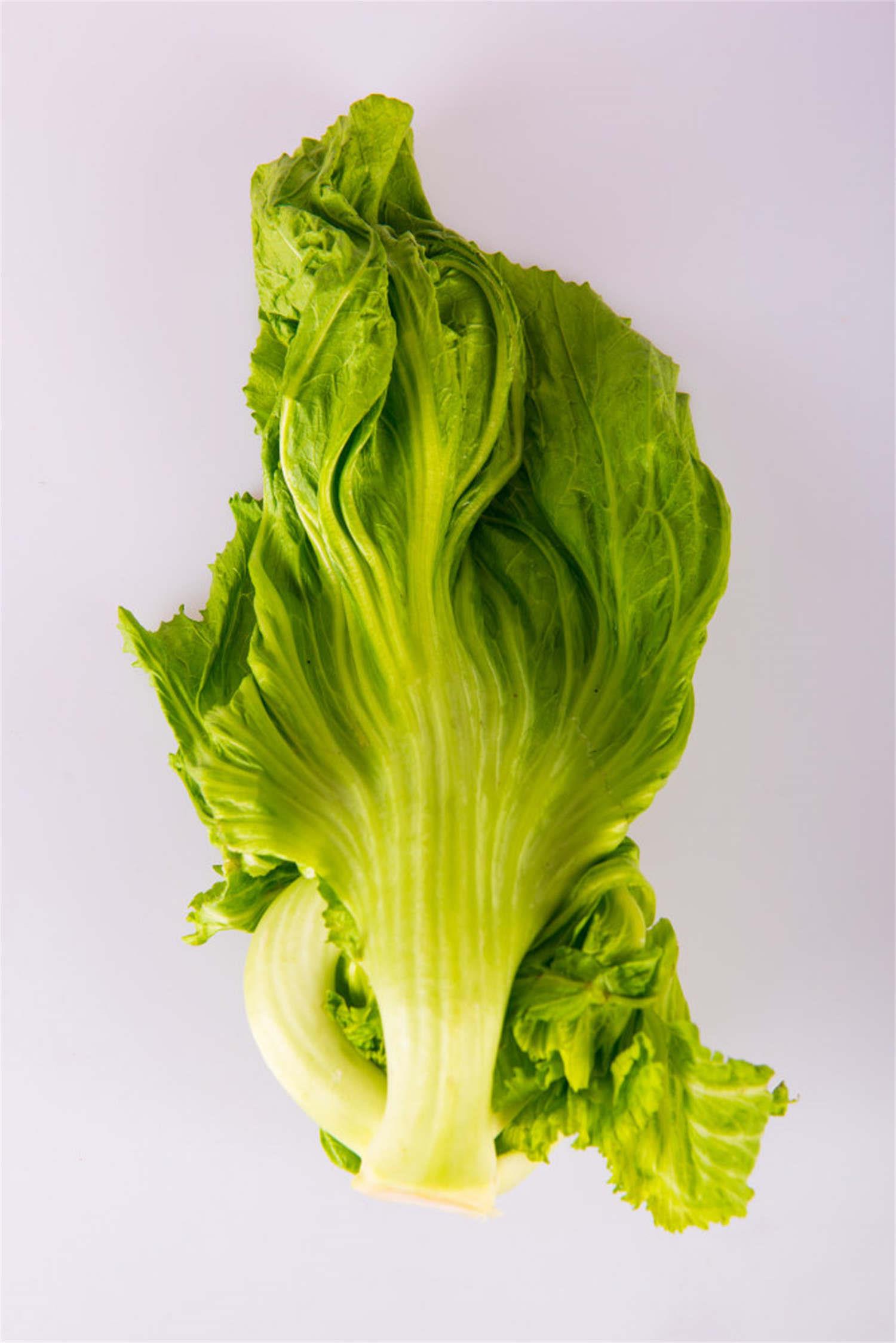 Lettuce