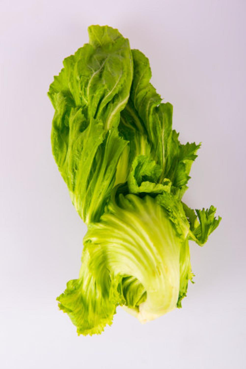 Lettuce