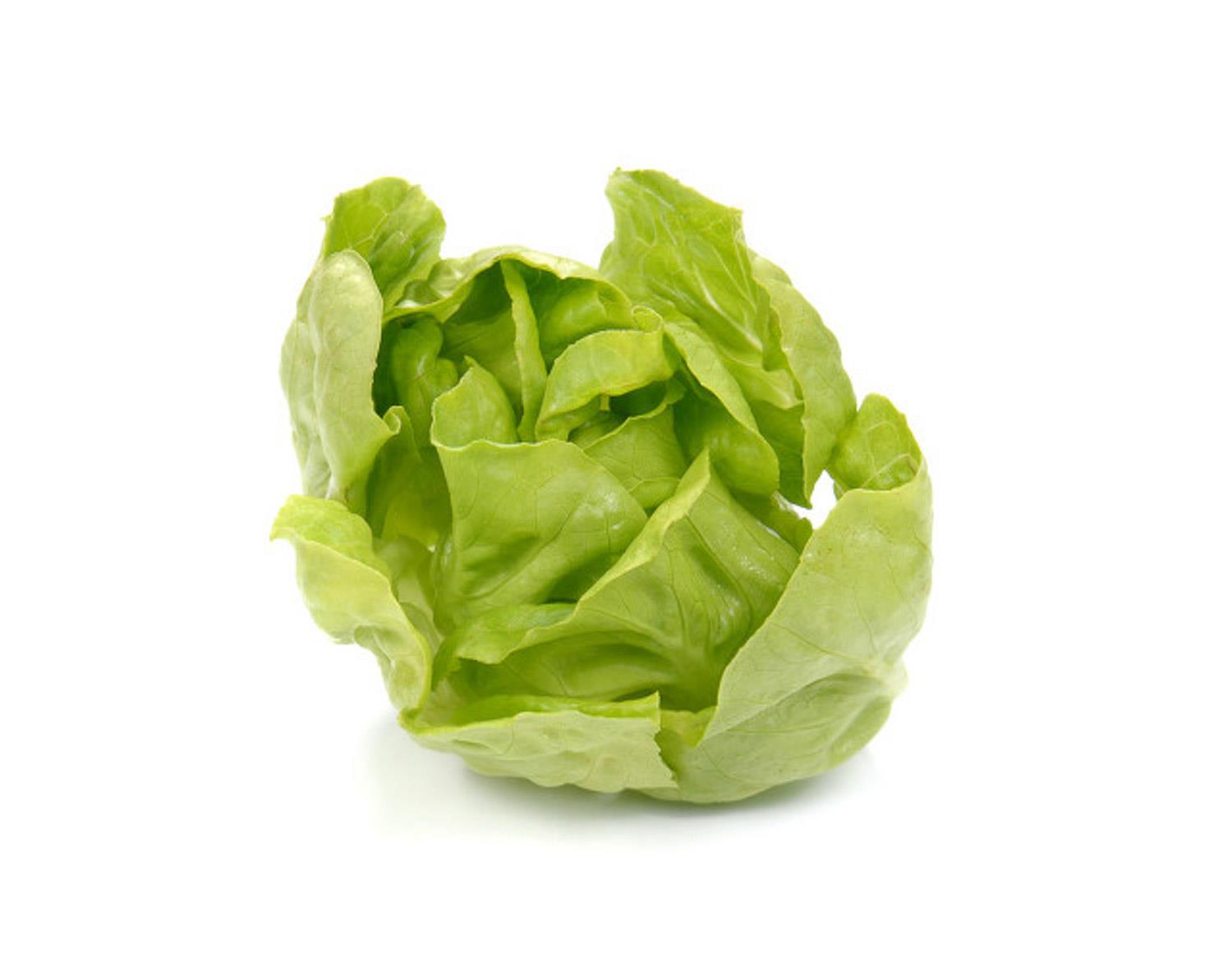 Lettuce