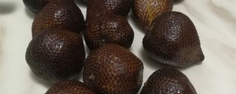 How to plant snakeskin fruit seeds in pots, how many years will it take to bear fruit