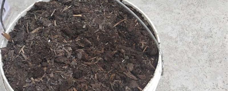 How to make leaf rot soil, how long does it take for it to mature