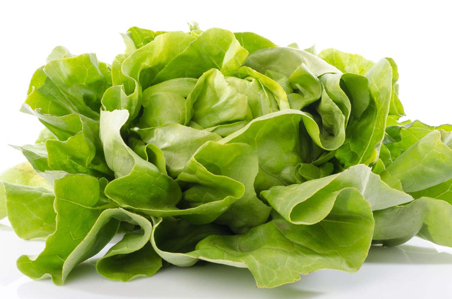 Lettuce