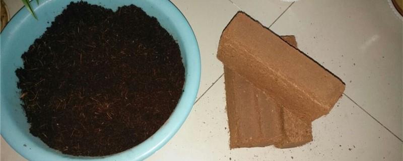 What is coconut brick soil and is it breathable?